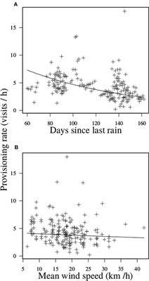 Breeding Phenology and Meteorological Conditions Affect Carer Provisioning Rates and Group-Level Coordination in Cooperative Chestnut-Crowned Babblers